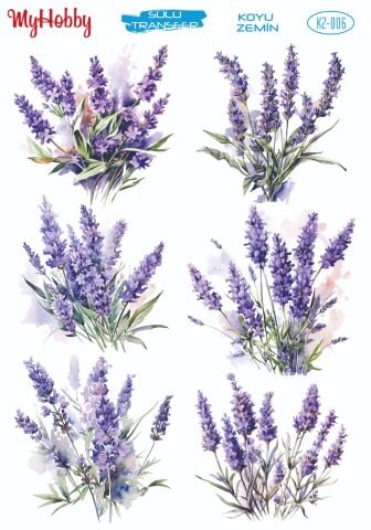 My Hobby KOYU ZEMİN SULU TRANSFER KZ006