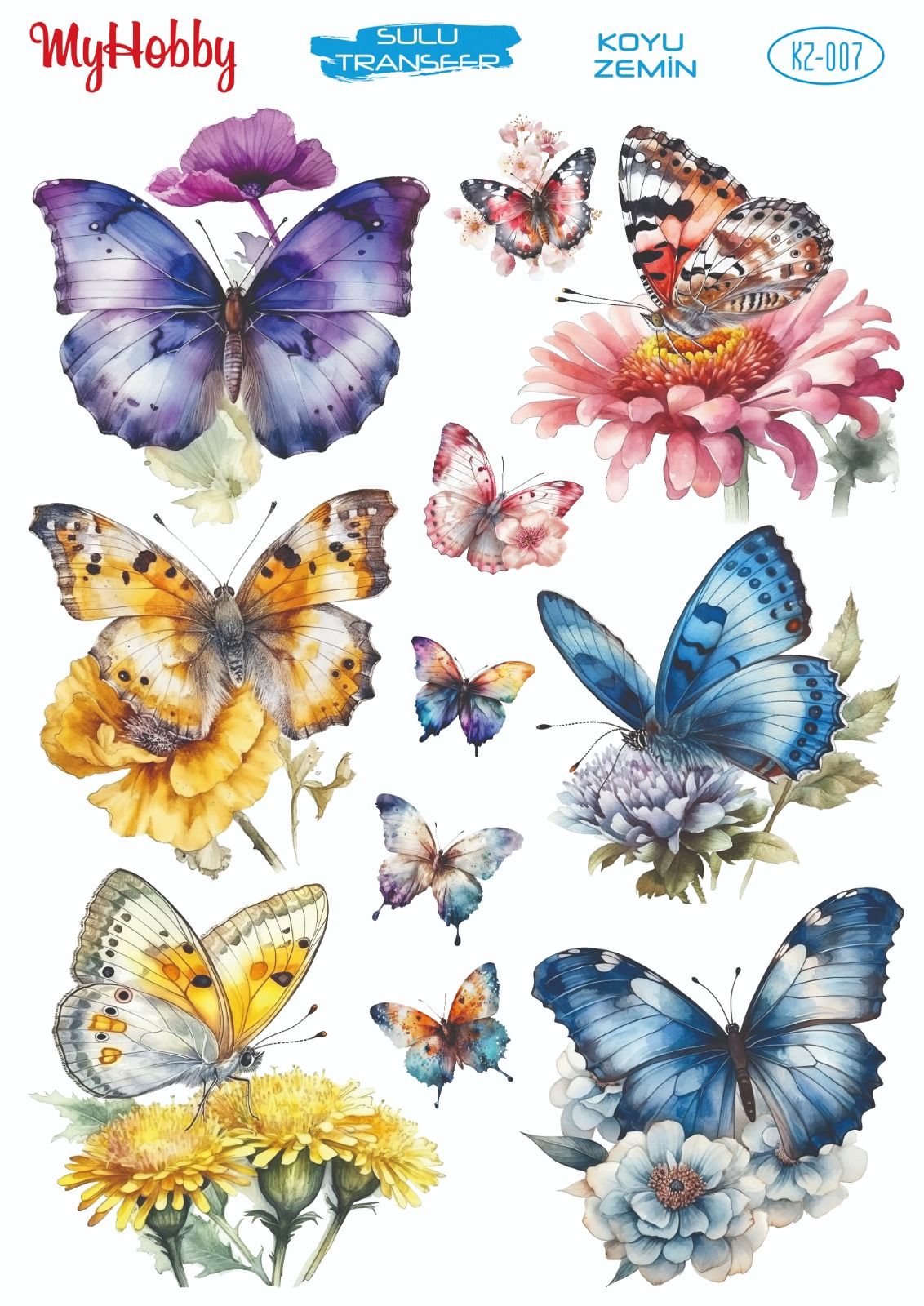 My Hobby KOYU ZEMİN SULU TRANSFER KZ007