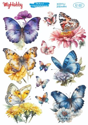 My Hobby KOYU ZEMİN SULU TRANSFER KZ007