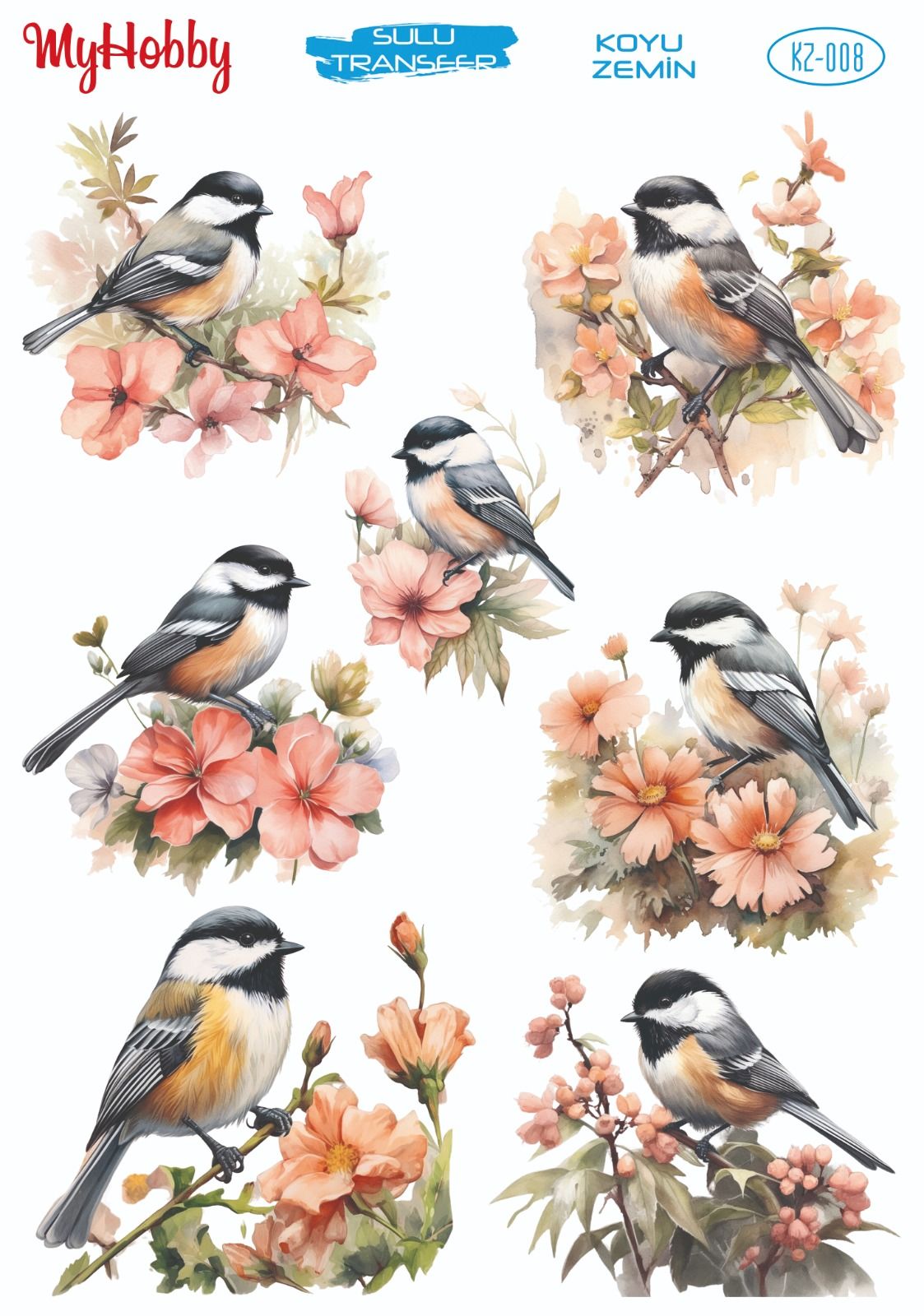 My Hobby KOYU ZEMİN SULU TRANSFER KZ008