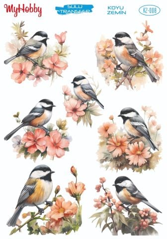 My Hobby KOYU ZEMİN SULU TRANSFER KZ008