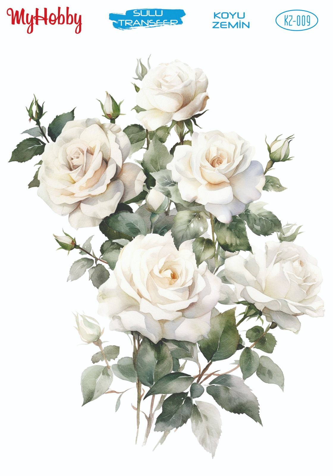 My Hobby KOYU ZEMİN SULU TRANSFER KZ009