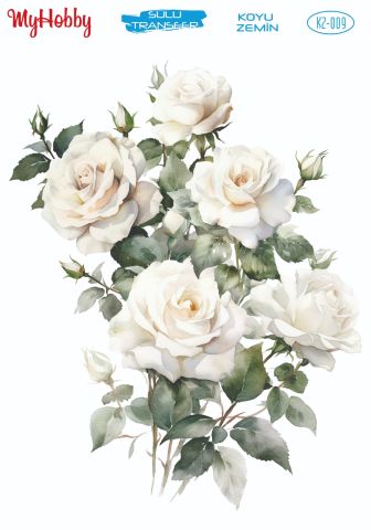 My Hobby KOYU ZEMİN SULU TRANSFER KZ009