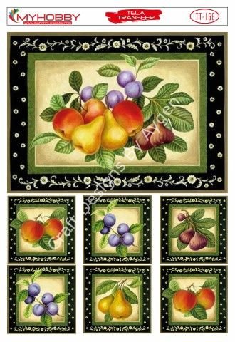 My Hobby TELA TRANSFER TT 166
