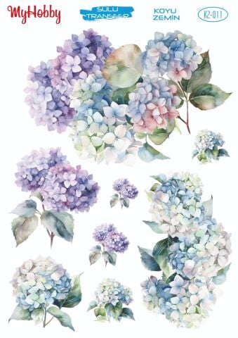 My Hobby KOYU ZEMİN SULU TRANSFER KZ011