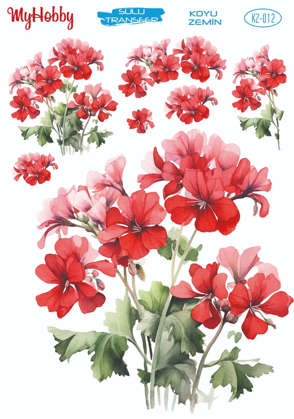 My Hobby KOYU ZEMİN SULU TRANSFER KZ012