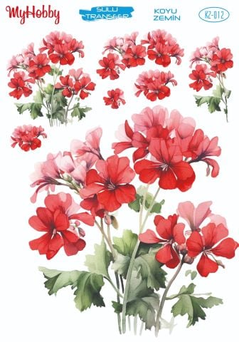 My Hobby KOYU ZEMİN SULU TRANSFER KZ012