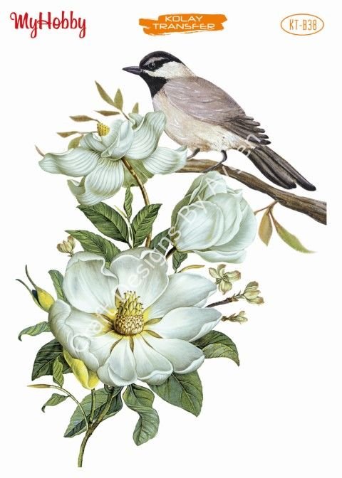 My Hobby KOLAY TRANSFER KT B38