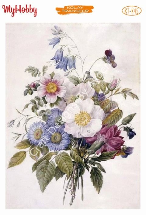 My Hobby KOLAY TRANSFER KT K45