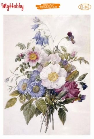 My Hobby KOLAY TRANSFER KT K45