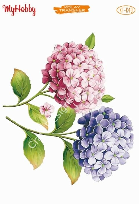 My Hobby KOLAY TRANSFER KT K43