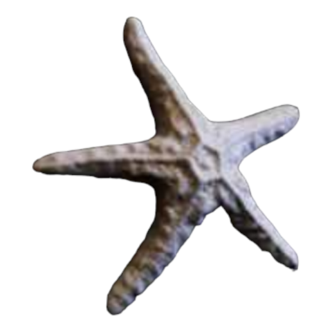 Boyanabilir Polyester Ham Objeler -YILDIZ 11 X 11 CM