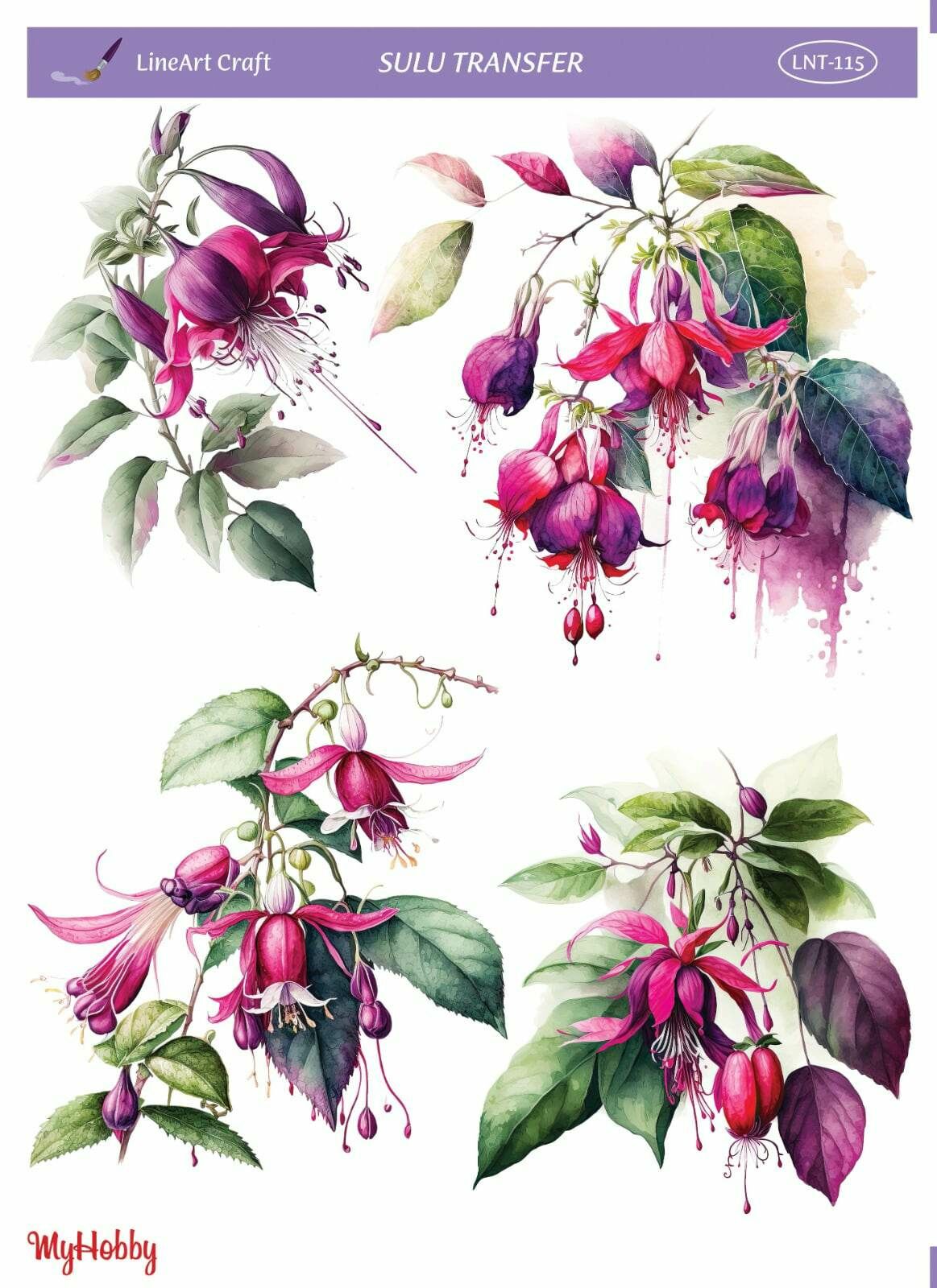 Lineart SULU TRANSFER 115