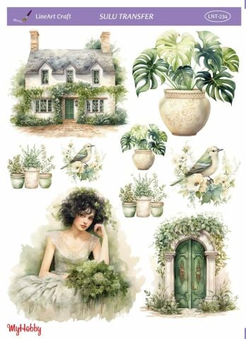 Lineart SULU TRANSFER 234