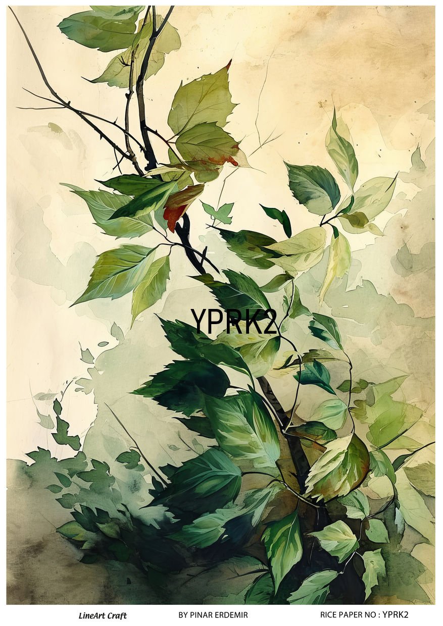 YPRK 2